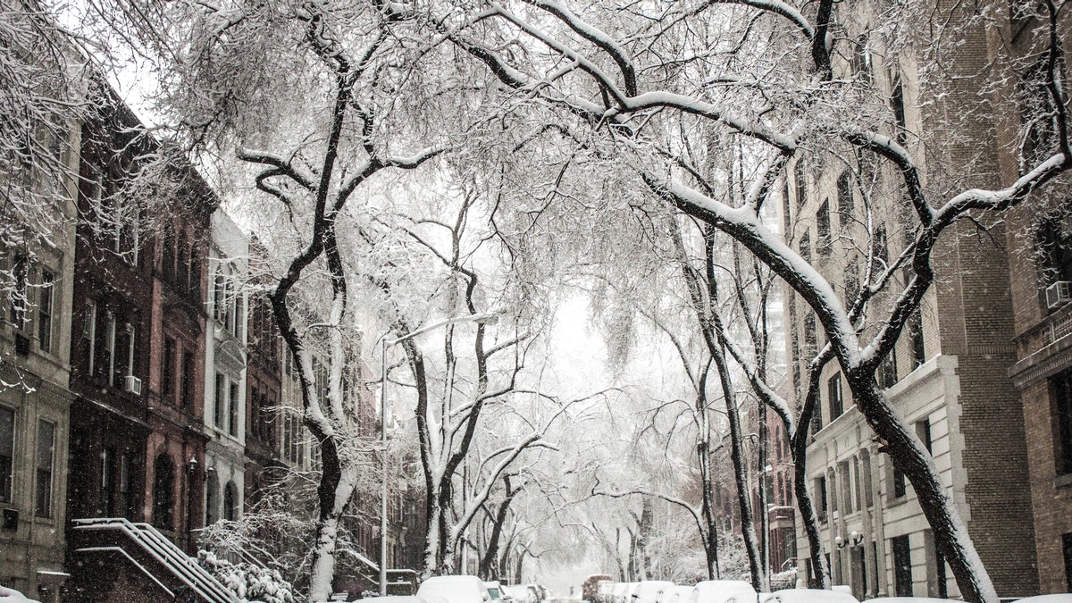 snowy city