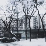 snow
