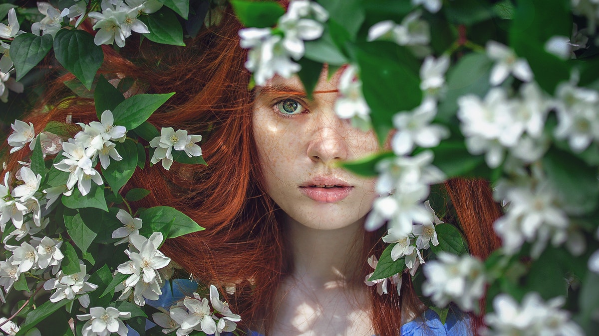 ginger head