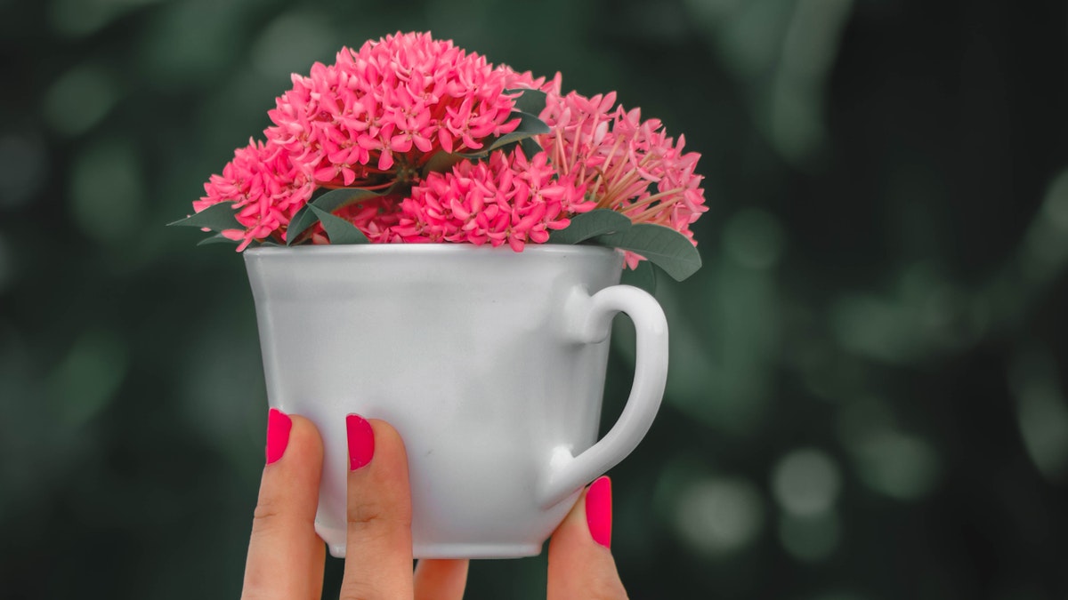 pink manicure