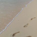 Ζώδια 17/06/2023 - Κινηθείτε σε γνώριμα εδάφη