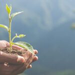 Ζώδια σήμερα 23/06/2023 - Ξεκαθαρίζουν οι σκέψεις