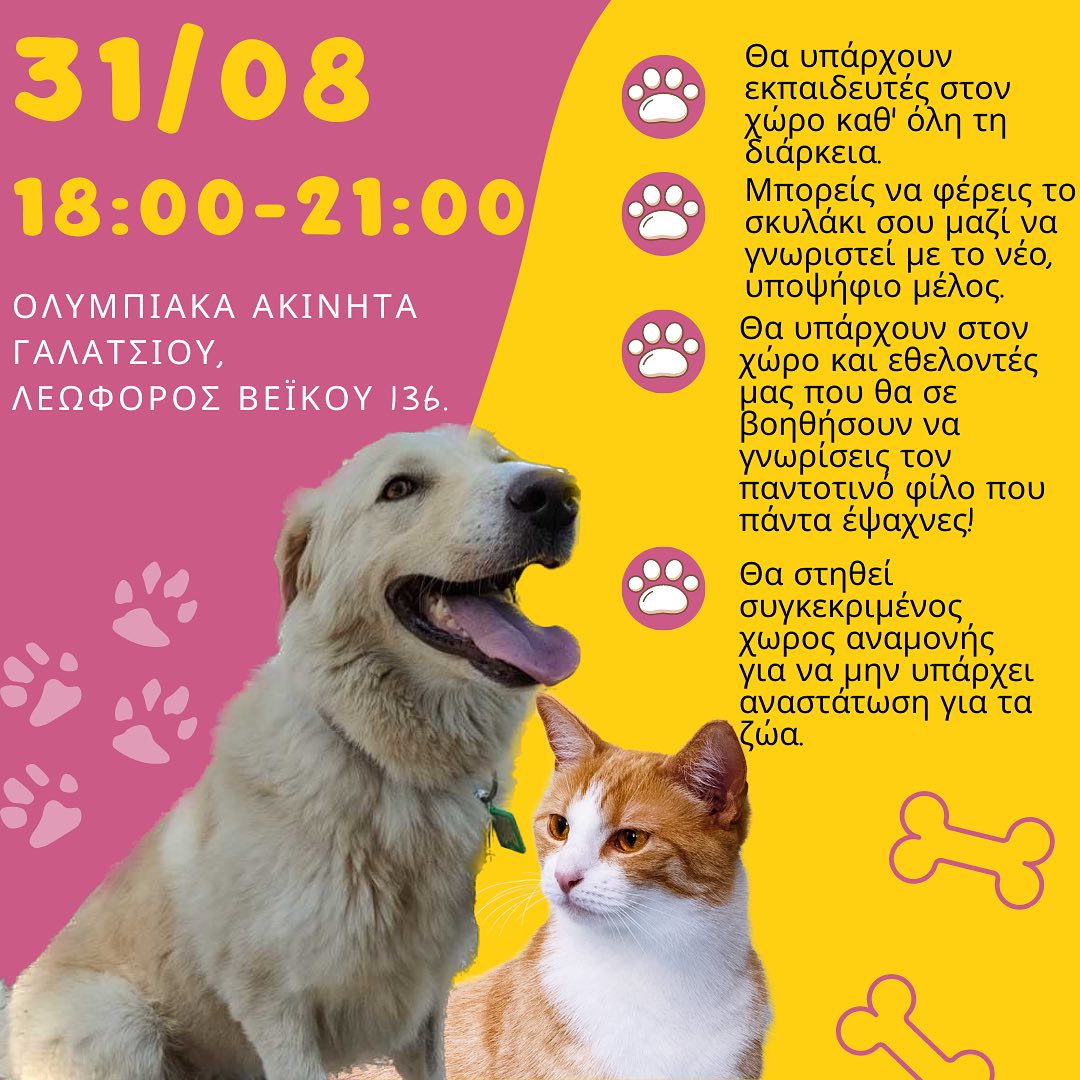 dogs-voice-ela-kai-esy-stin-prwti-imera-uiothesias-twn-puropliktwn-zwwn